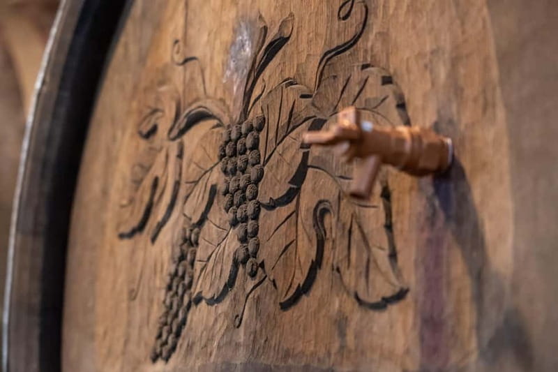From Ljubljana: Vipava Valley Wine Express Tour - Practical details that affect your day