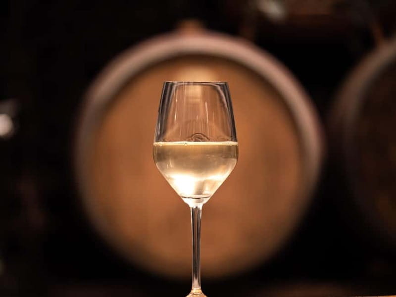 From Ljubljana: Vipava Valley Wine Express Tour - First winery: the personal side of Slovenian wine