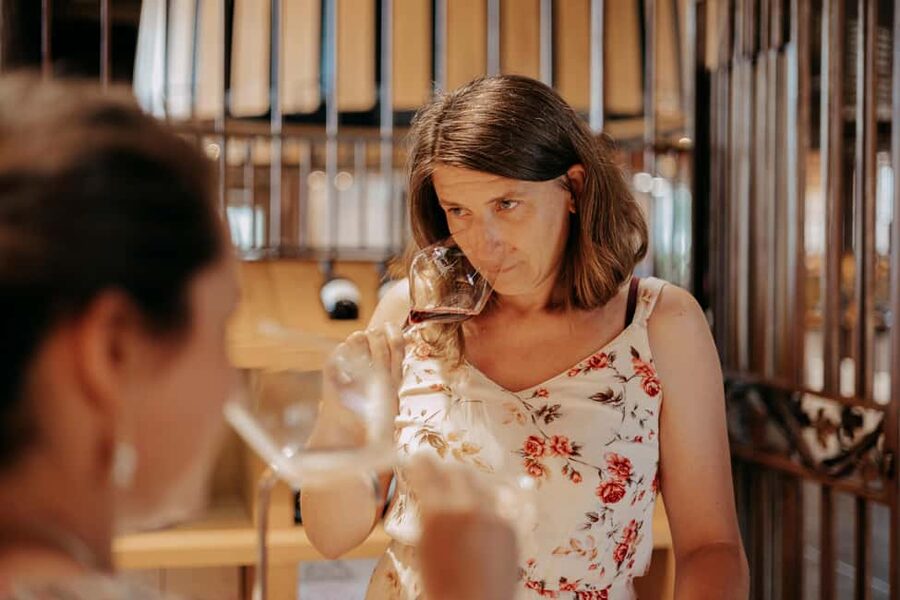 From Lyon: Beaujolais Wine Route Half-Day Tour - Meeting a family winemaker