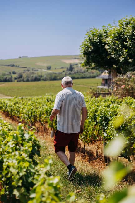 From Lyon: Beaujolais Wine Route Half-Day Tour - Who will enjoy this tour most