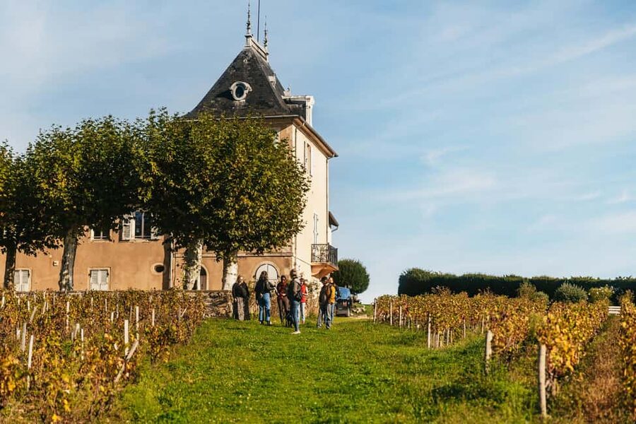 From Lyon: Beaujolais Wine Tour with Tastings - First winery: meeting the person behind the bottle