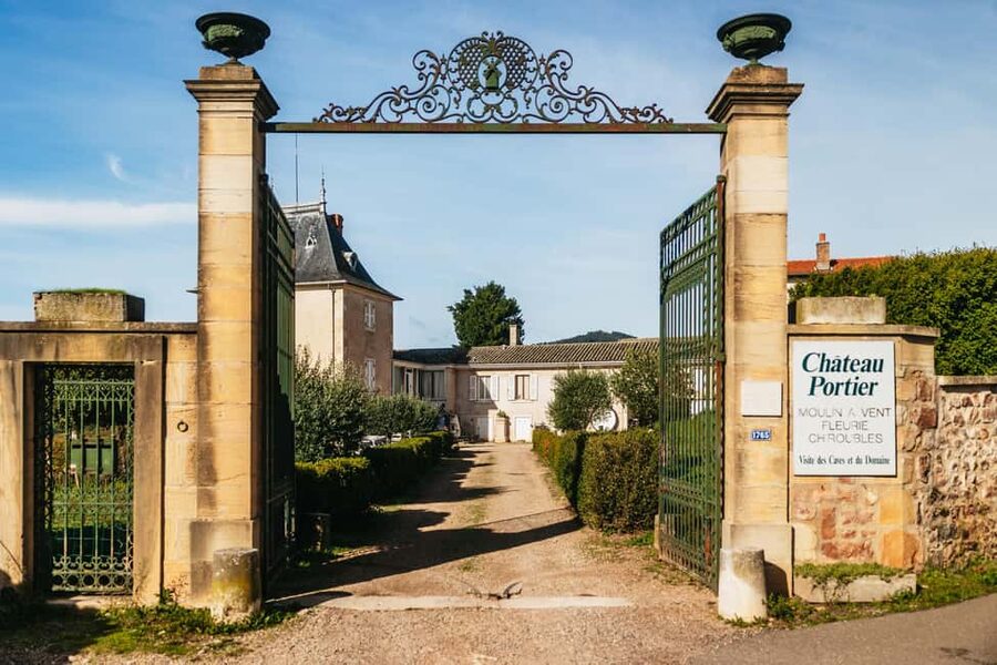 From Lyon: Beaujolais Wine Tour with Tastings - Tasting several styles of Gamay