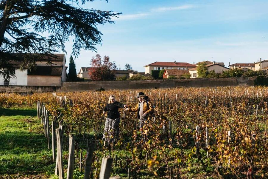 From Lyon: Beaujolais Wine Tour with Tastings - The Wine Route and the Beaujolais scenery
