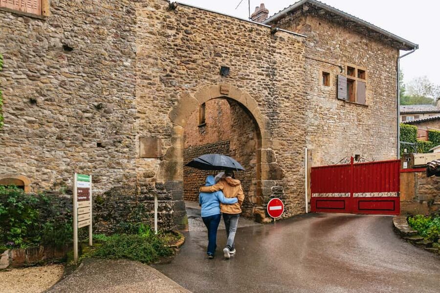 From Lyon: Golden Stones Beaujolais Wine Tasting Tour - How to make the most of the morning