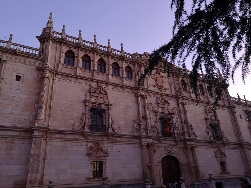 From Madrid: Alcalá de Henares, Winery Tour & Wine Tasting - What the tasting may include
