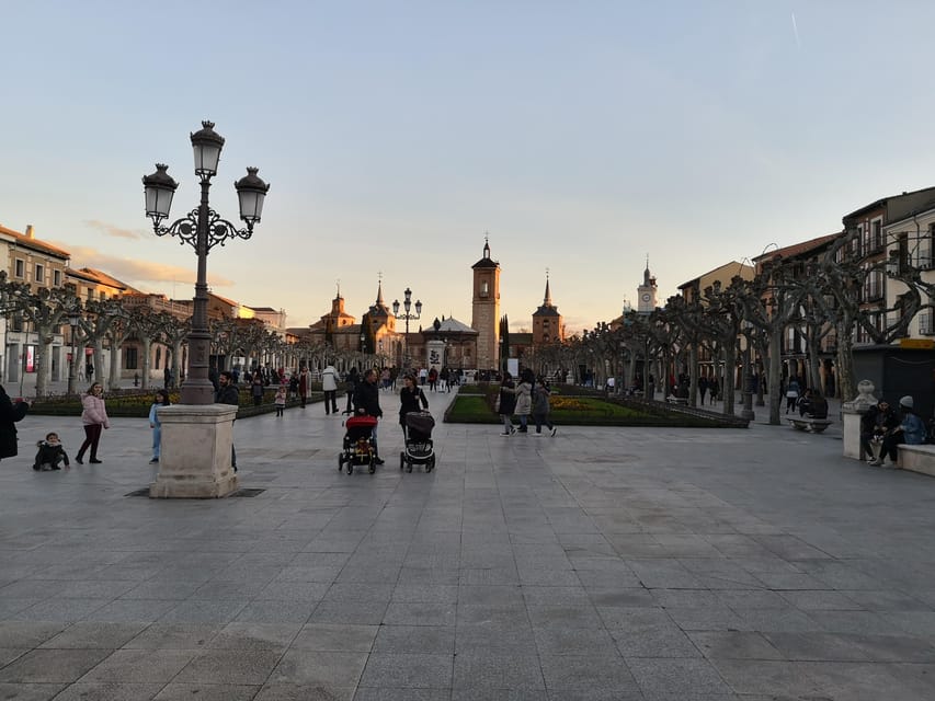 From Madrid: Alcalá de Henares, Winery Tour & Wine Tasting - The University of Alcalá and its 1499 roots