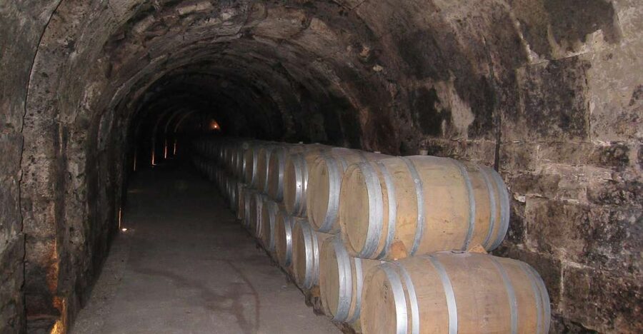 From Madrid: Ribera del Duero Tour of 3 Wineries w/ Tastings - First winery: a polished introduction to Ribera del Duero