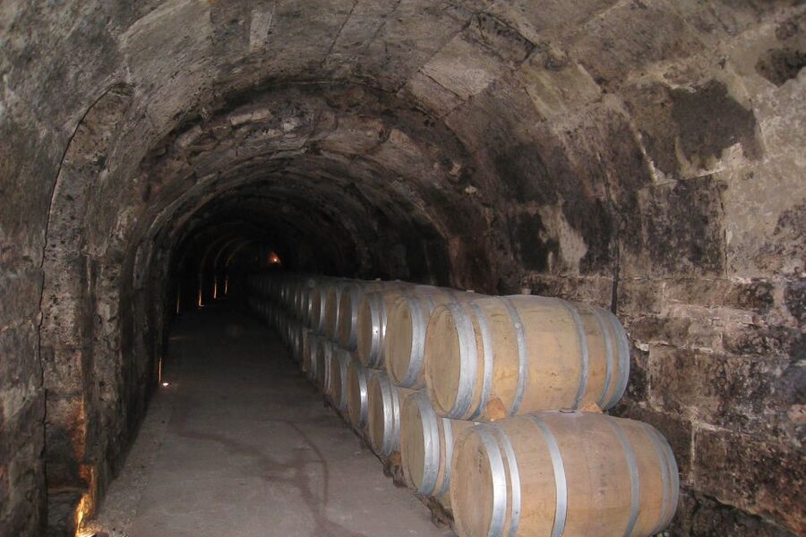 From Madrid: Ribera del Duero Tour of 3 Wineries w/ Tastings - Second winery: modern design with the vineyards in view