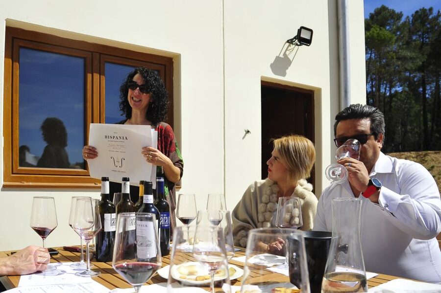 From Madrid: Ribera del Duero Tour of 3 Wineries w/ Tastings - How much value do you get for $218?