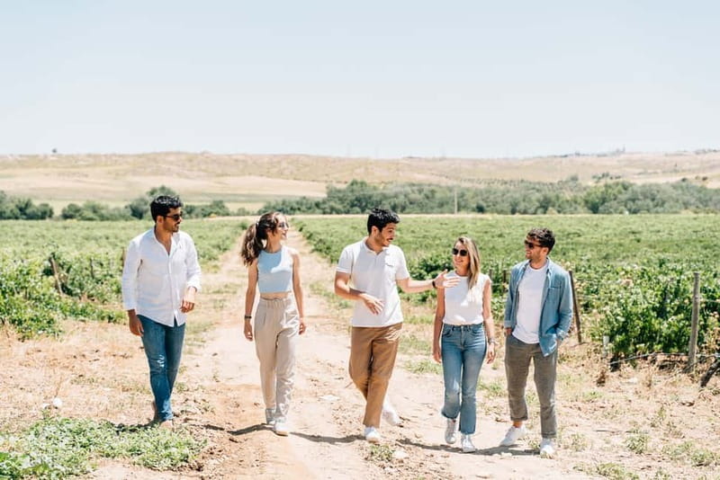 From Madrid: Toledo Guided Tour & Winery Visit with Tasting - What to pack and how to plan