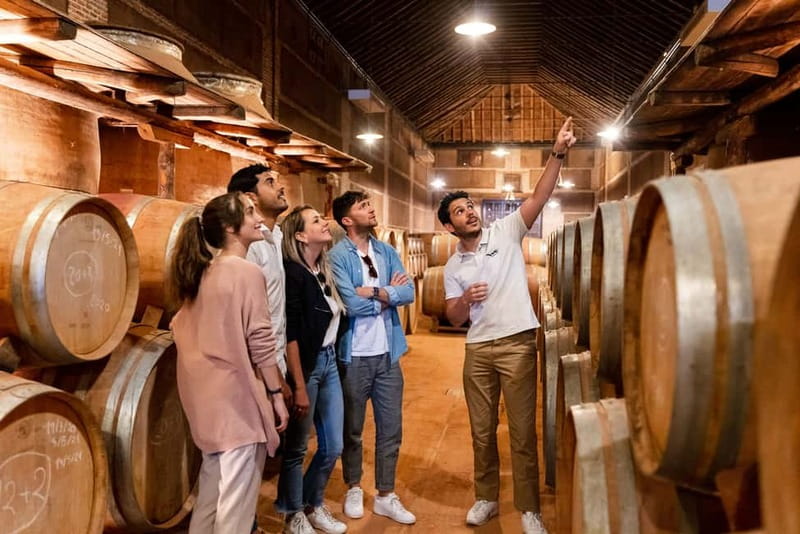 From Madrid: Toledo Guided Tour & Winery Visit with Tasting - Why Toledo and wine make a smart Madrid day trip