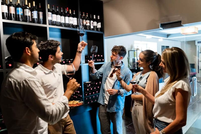 From Madrid: Toledo Guided Tour & Winery Visit with Tasting - Who will enjoy this day most
