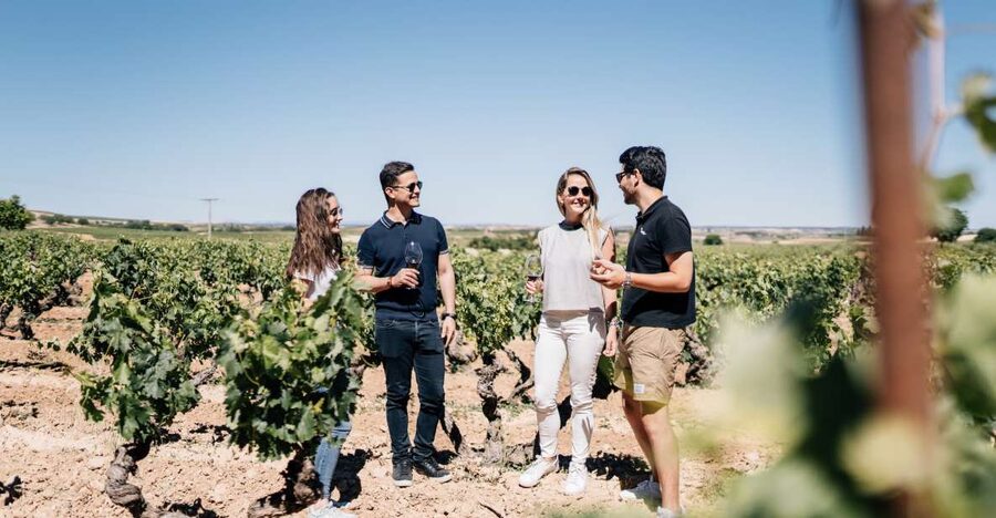 From Madrid: Traditional Villages, Winery Tour & Tapas Lunch - Why this makes a good day outside Madrid