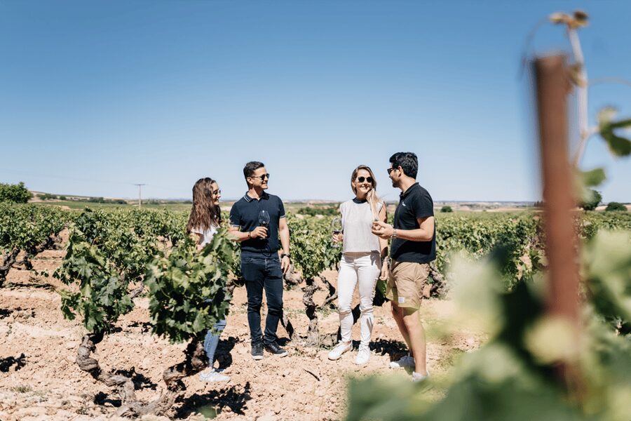 From Madrid: Traditional Villages, Winery Tour & Tapas Lunch - Aranjuez, royal gardens, and a shorter walking tour