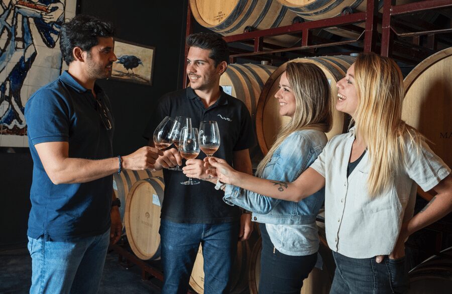 From Madrid: Traditional Villages, Winery Tour & Tapas Lunch - Transport, timing, and the shape of the day