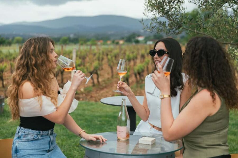 From Makarska Riviera : Wine Tasting Grabovac Tour - The road inland takes about 50 minutes