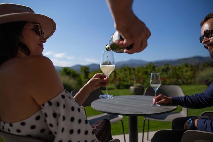 From Makarska Riviera : Wine Tasting Grabovac Tour - Walking through the vineyards and shopping for bottles