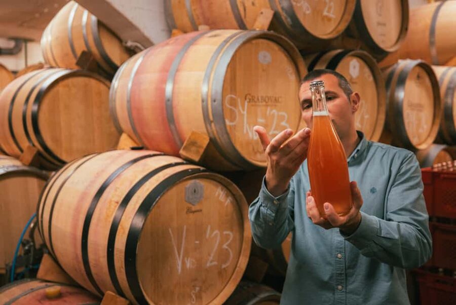 From Makarska Riviera : Wine Tasting Grabovac Tour - Pickup from four Makarska hotels