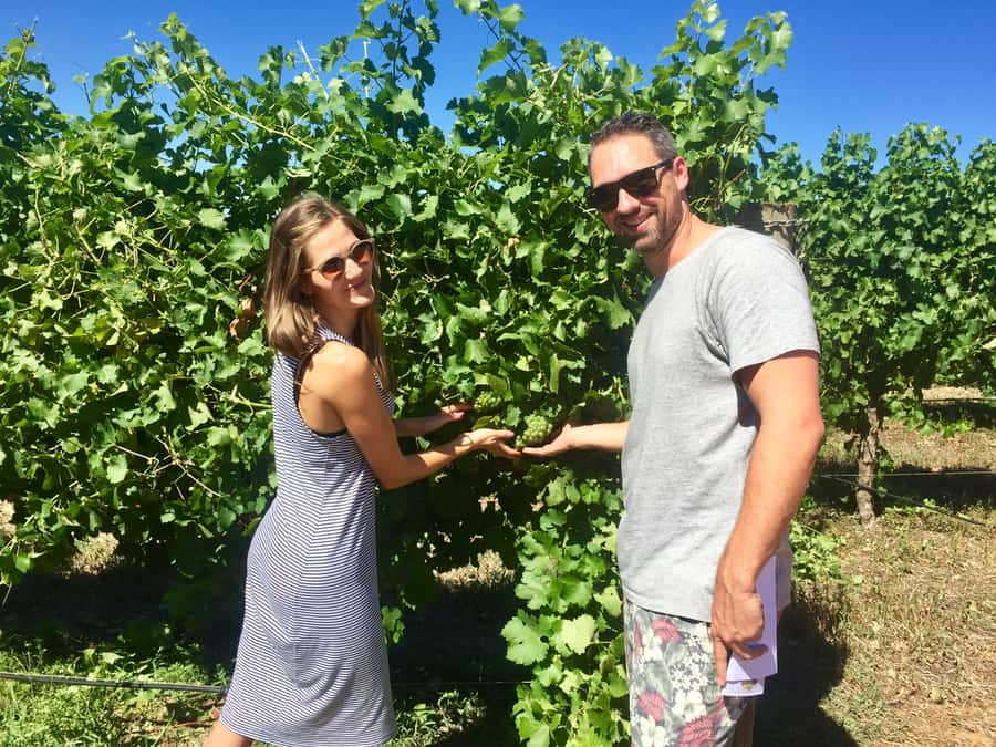 From Margaret River: Margaret River Wine Adventure - The brewery finish is relaxed, but budget for your own drinks