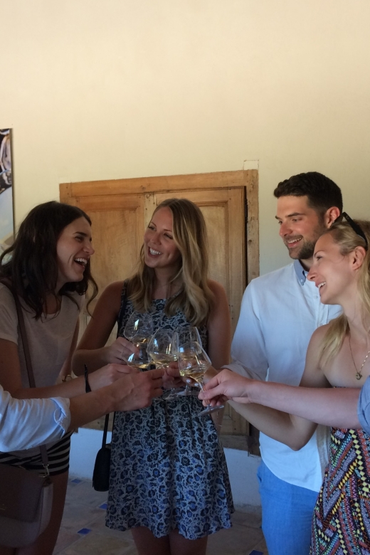 From Marseille: Aix en Provence Wine and Cheese Tour - The first winery and a lesson in Provence wine