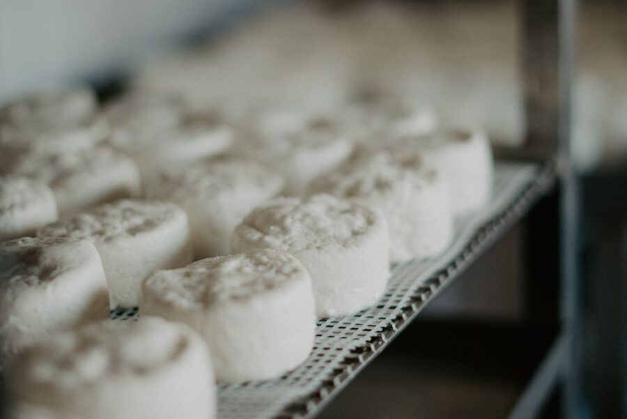 From Marseille: Aix en Provence Wine and Cheese Tour - Who will enjoy this tour most