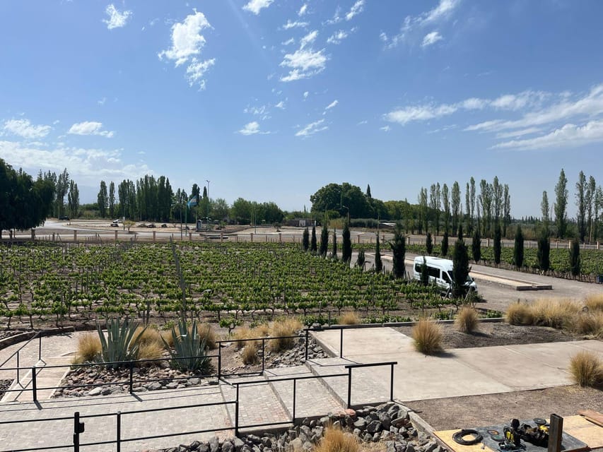 From Mendoza: 3 Wineries, Olive Oil Factory Tour & Tasting - How the bilingual format affects the day