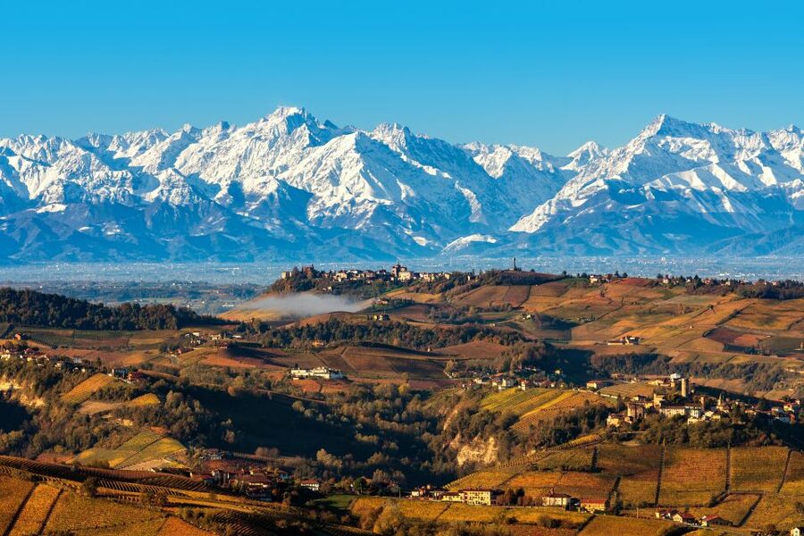 From Milan: Barolo Wine Tasting, Alba Tour and Castle Visit - From Milan to Piedmont’s Wine Country