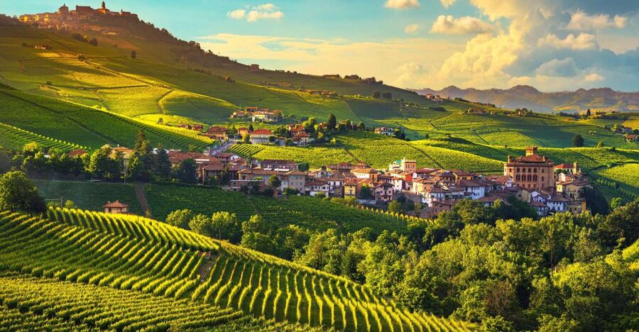 From Milan: Barolo Wine Tasting, Alba Tour and Castle Visit - What the Guides Add to the Day