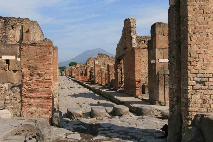 From Naples: Pompeii and Wine Tasting Tour with Lunch - Is $135.94 good value?