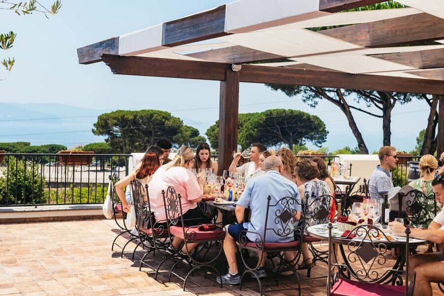 From Naples: Wine Tasting Tour on Vesuvius Slopes with Lunch - Guides who make the drive useful