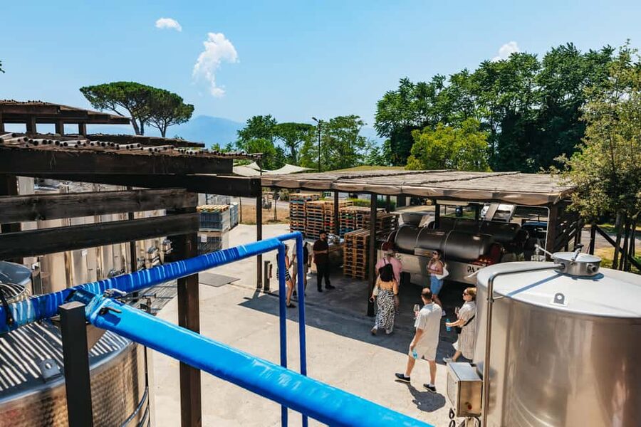 From Naples: Wine Tasting Tour on Vesuvius Slopes with Lunch - A short walk through the vineyard and cellar