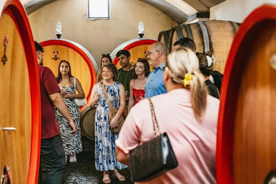 From Naples: Wine Tasting Tour on Vesuvius Slopes with Lunch - Lunch is the heart of the outing