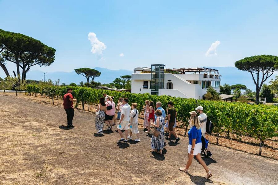 From Naples: Wine Tasting Tour on Vesuvius Slopes with Lunch - What you will taste from Campania