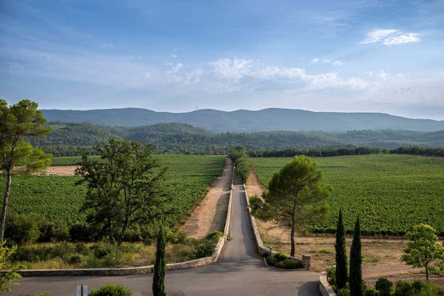 From Nice: Provence Wine Full-Day Tour - Who should book this day?