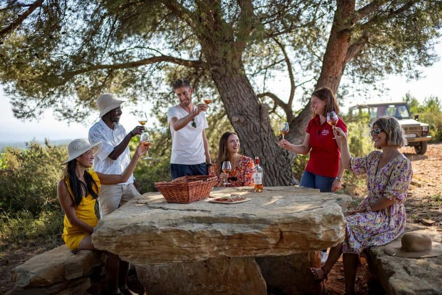 From Nice: Provence Wine Full-Day Tour - First stop: a historic Cru Classé château