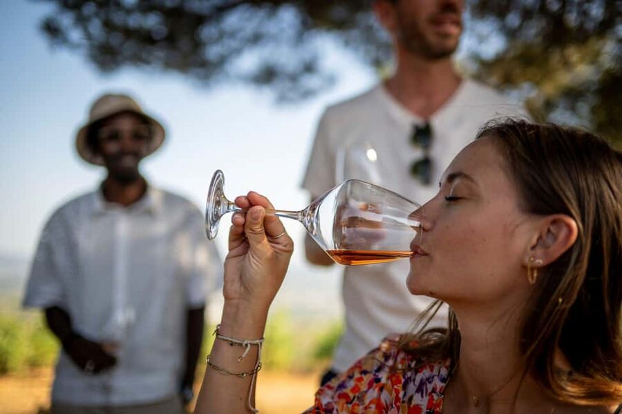 From Nice: Provence Wine Full-Day Tour - How much wine will you actually taste?