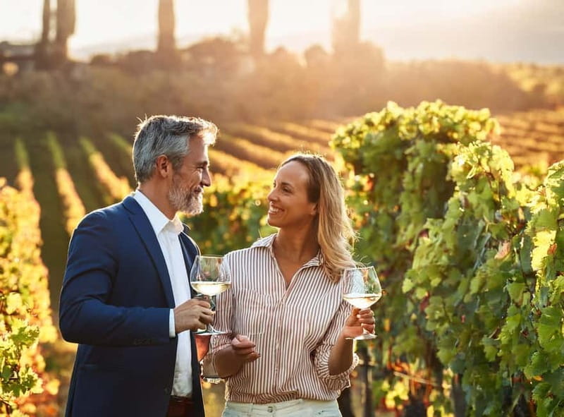 From Palma de Mallorca: Private Wine and Local Flavors Tour - Key points at a glance