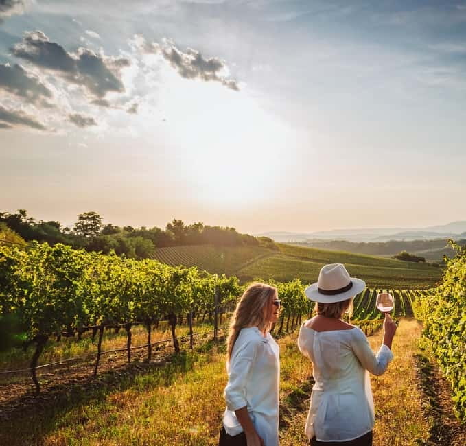 From Palma de Mallorca: Private Wine and Local Flavors Tour - Why this short wine tour works