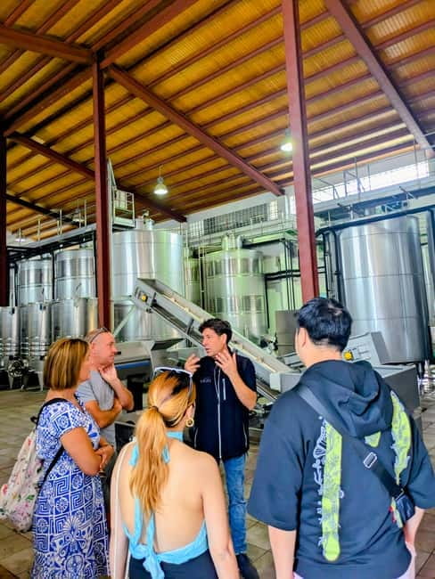 From Palma de Mallorca: Private Wine and Local Flavors Tour - Practical advice before you go