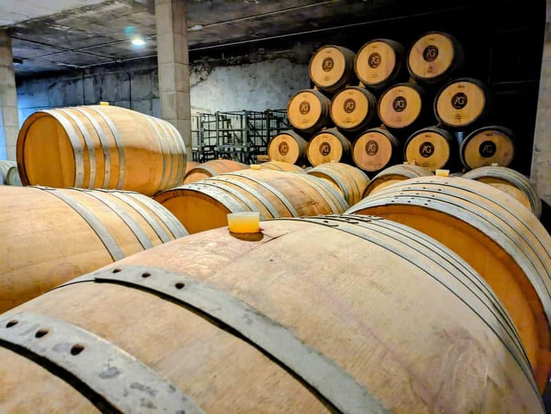 From Palma de Mallorca: Private Wine and Local Flavors Tour - Meeting your driver near Palma