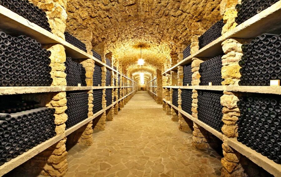From Paris: Burgundy Region Winery Tour with Tastings - Who should book this tour?