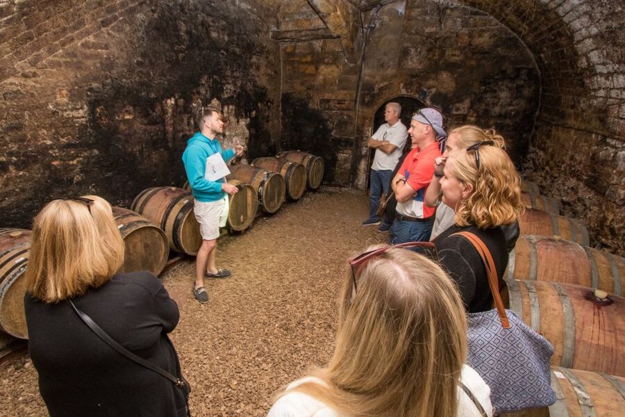 From Paris: Burgundy Region Winery Tour with Tastings - Why this Burgundy day trip works from Paris