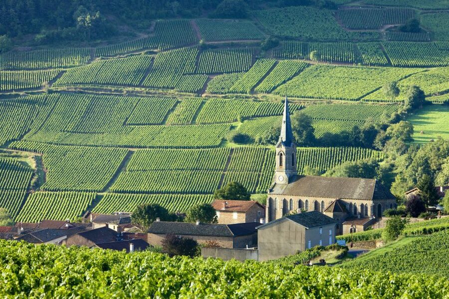 From Paris: Burgundy Region Winery Tour with Tastings - Domaine Bersan and a family winemaking tradition