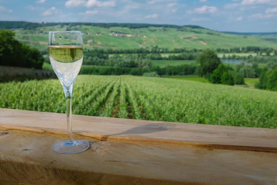 From Paris: Champagne Day Trip with 7 Tastings and Lunch - Should you book it?