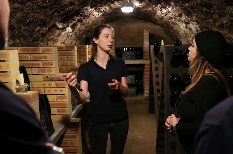 From Paris: Champagne Day Trip with 7 Tastings and Lunch - Why the producer contrast matters