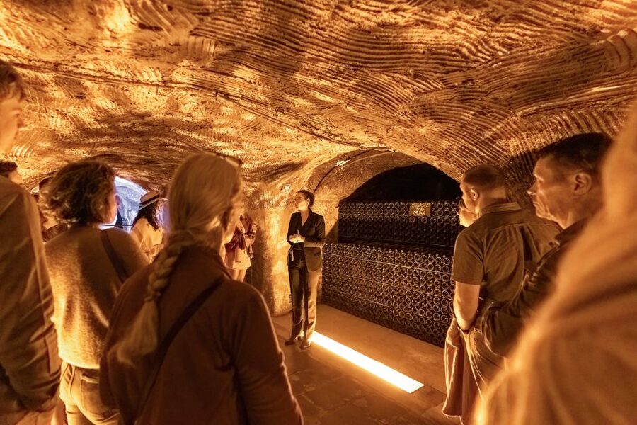 From Paris: Day Trip to Champagne with 8 Tastings & Lunch - Practical details before you reserve