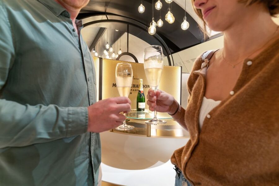 From Paris: Day Trip to Champagne with 8 Tastings & Lunch - How much value do you get for $345?
