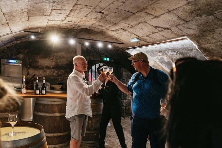 From Paris: Loire Valley Castles Day Trip With Wine Tasting - Blois: lunch and a change of pace