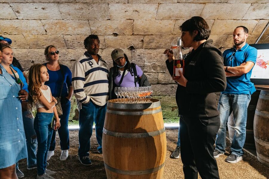 From Paris: Loire Valley Castles Day Trip With Wine Tasting - Meeting at Denfert-Rochereau