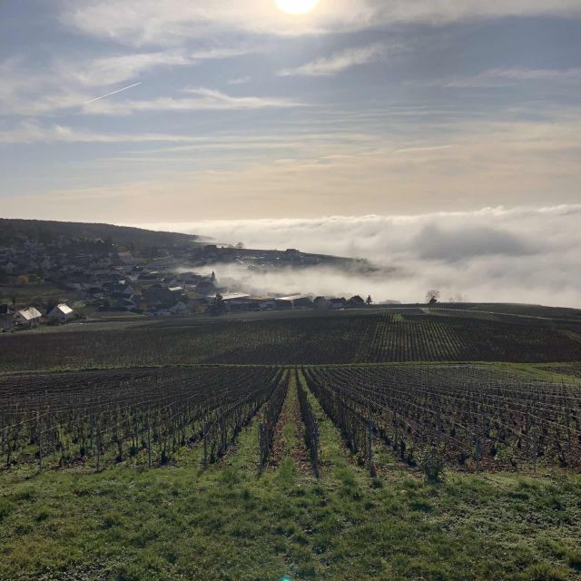 From Paris: Reims and Champagne Tasting Full-Day Tour - Practical Tips for a Better Day